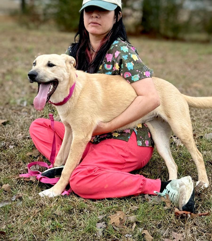 Mochi - LOCAL, a Adoptable mixed breed in Princeton, MA image 5/6