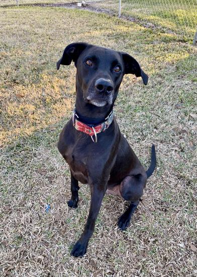 Finn (Finnias) — thumbnail 3