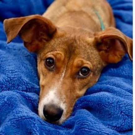 Holly — thumbnail 5