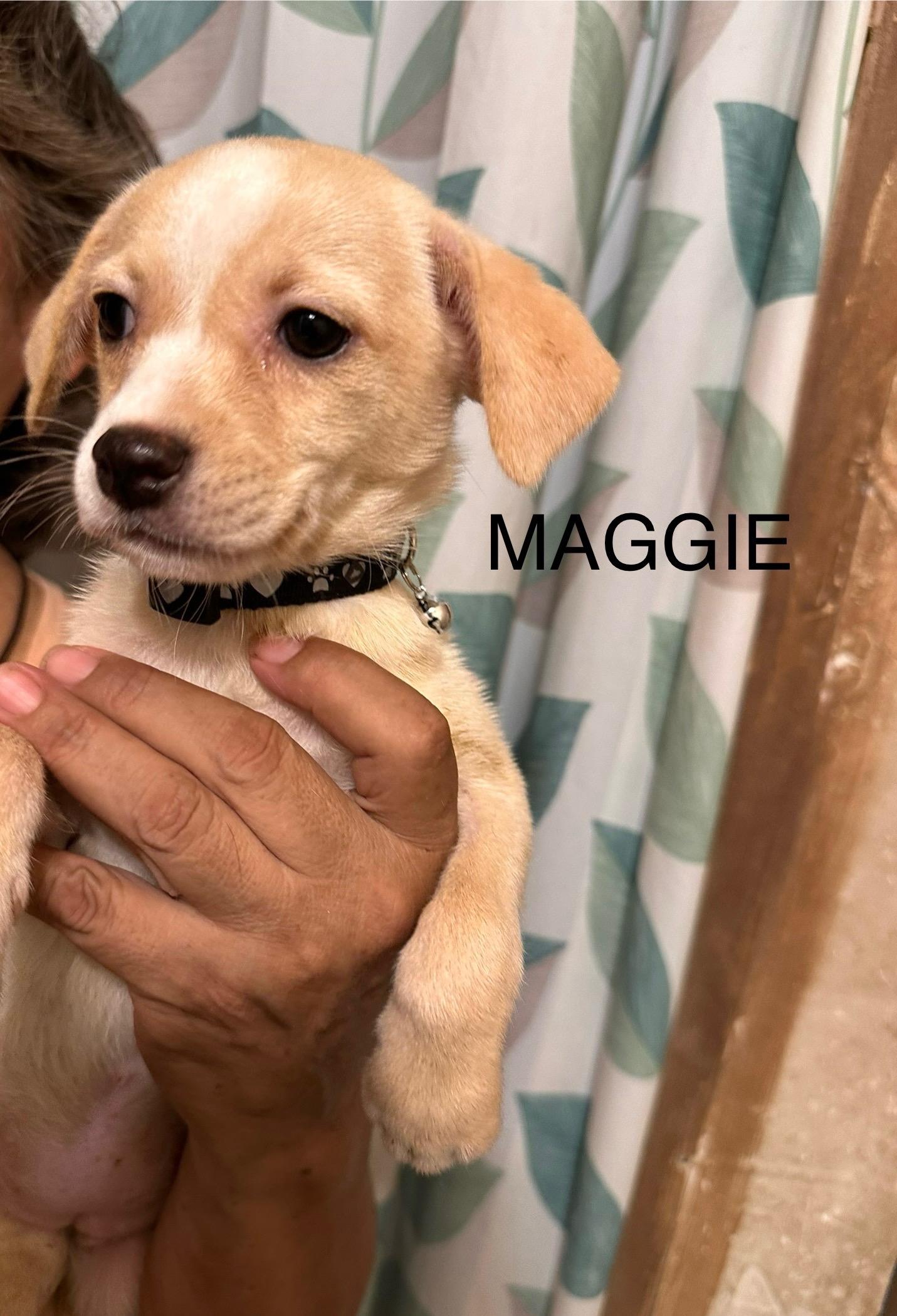 Maggie