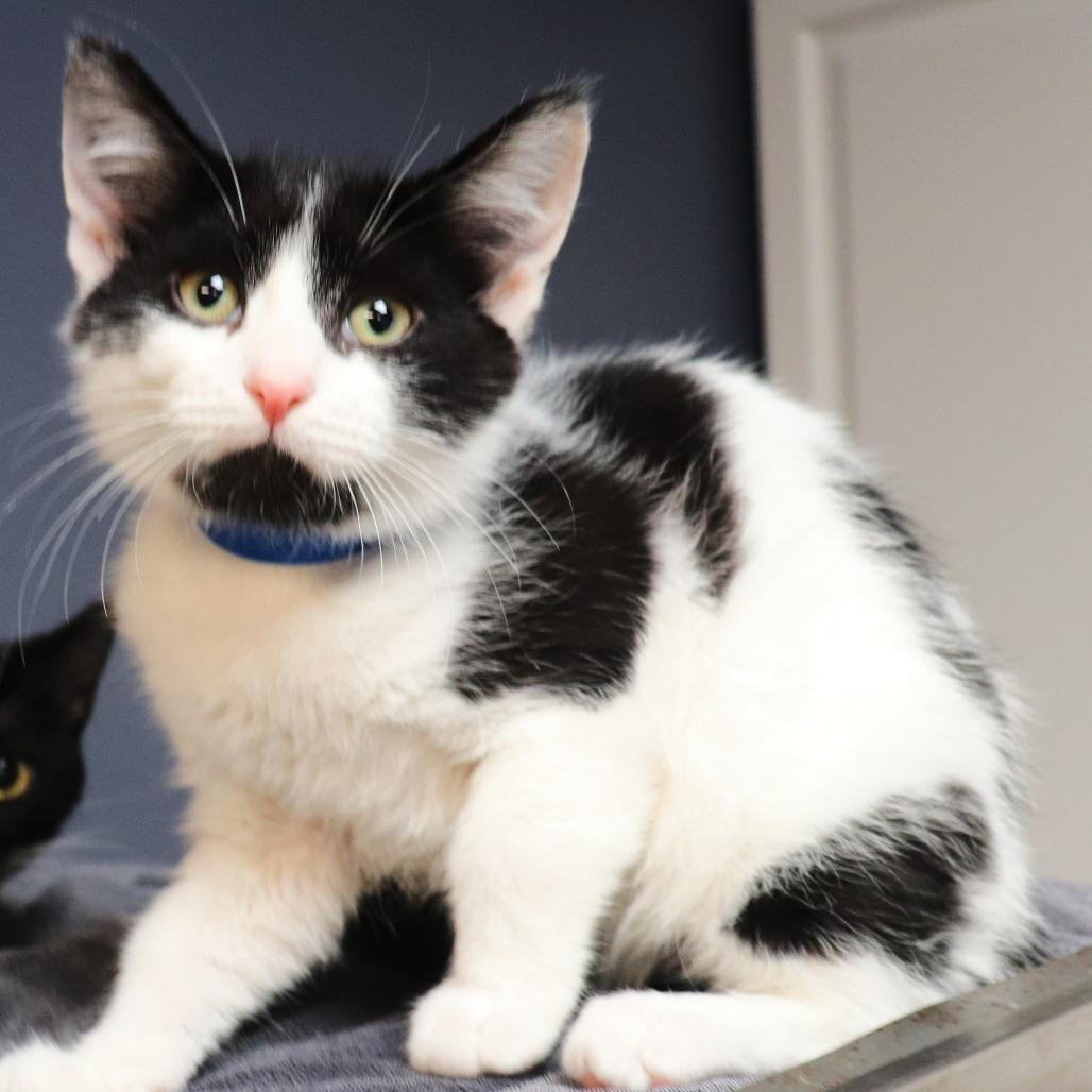 Jason Moo-Moah — thumbnail 4