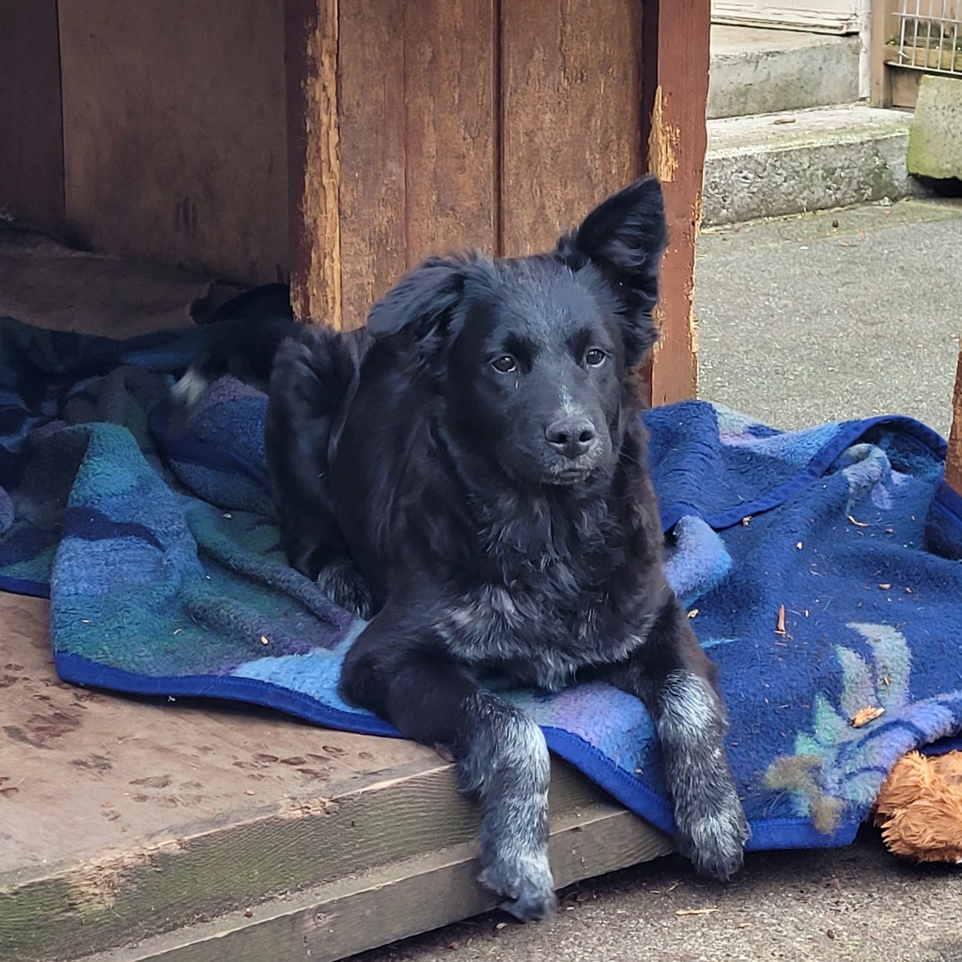Maggie photo 2