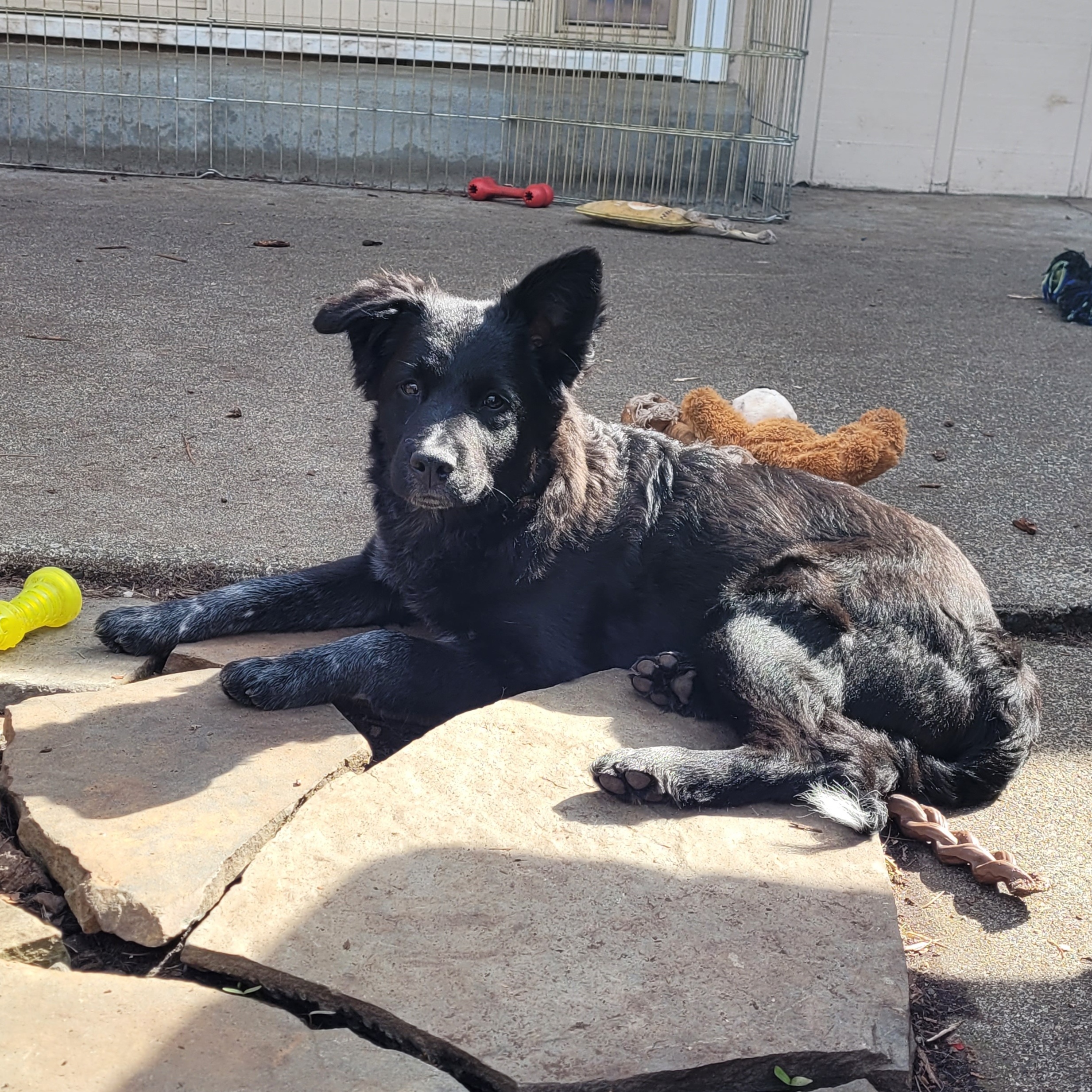 Maggie photo 4