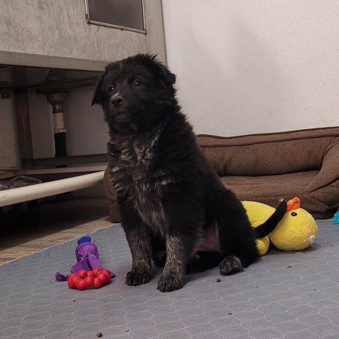 Maggie photo 6