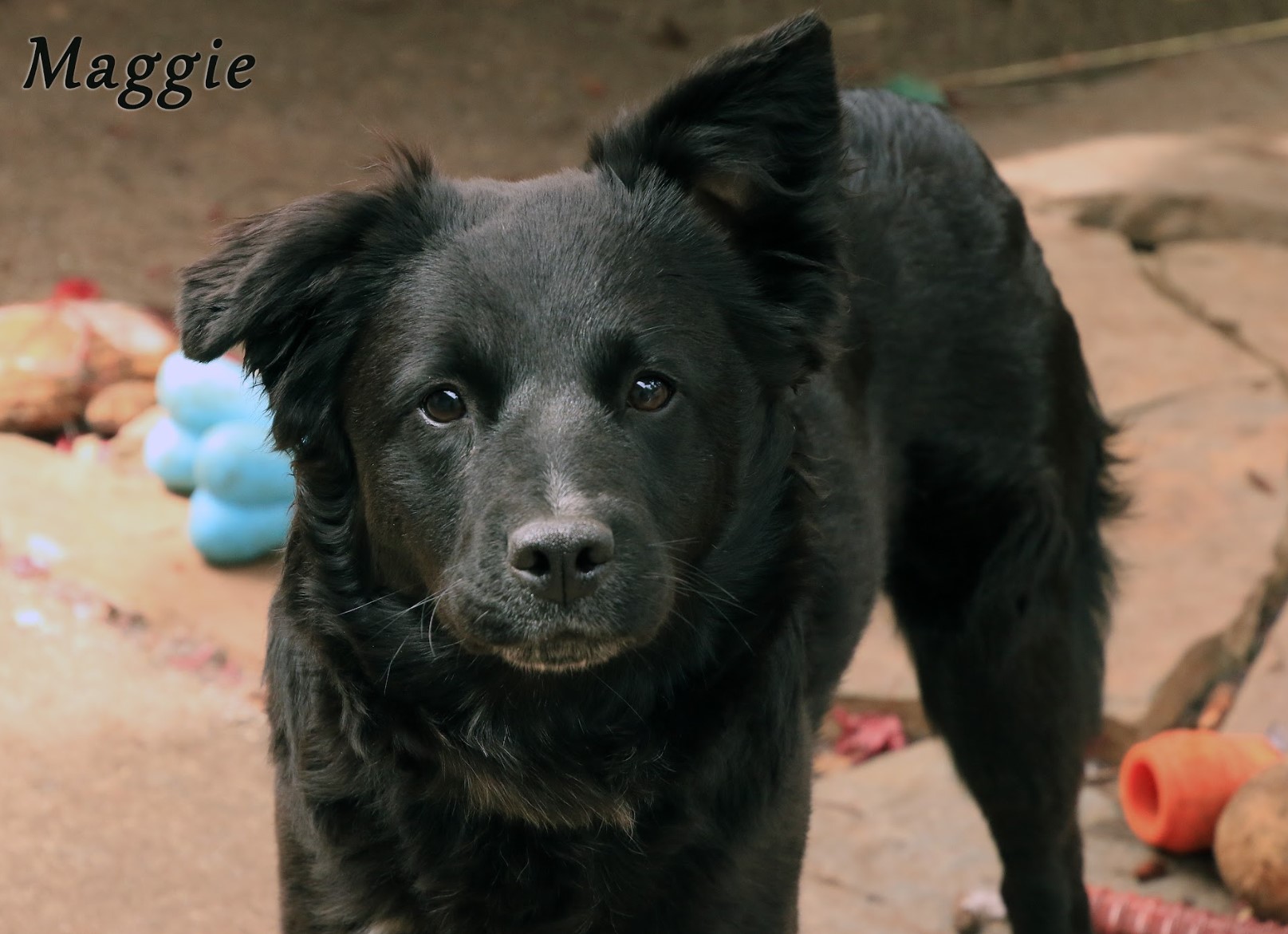 Maggie photo 3