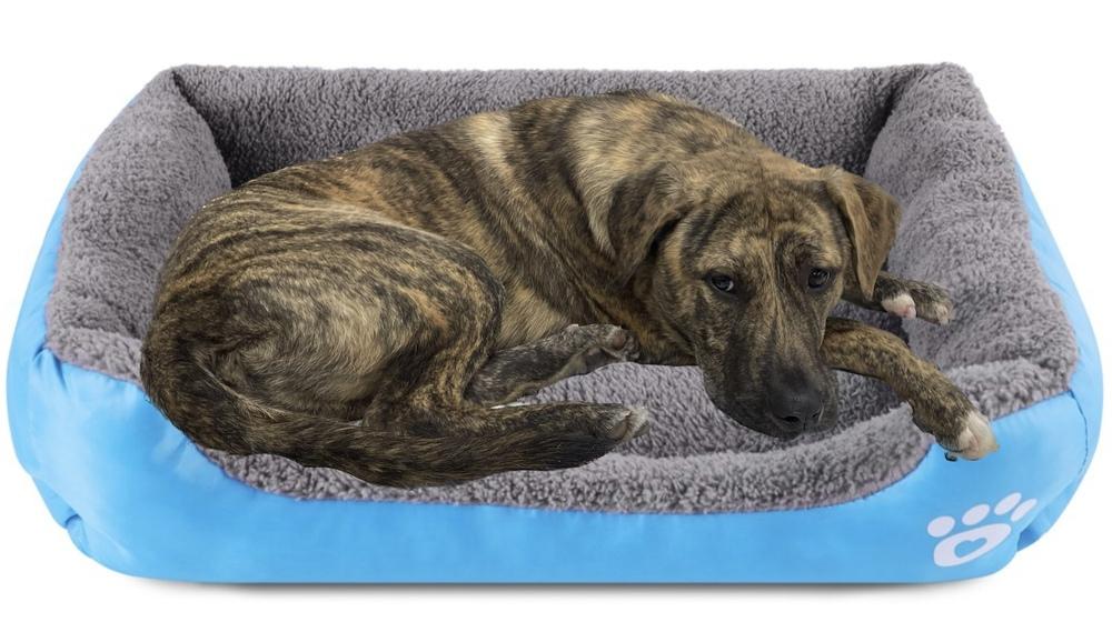 Enlarge Warren, a Adopted mixed breed in Dickson, TN image 3/5