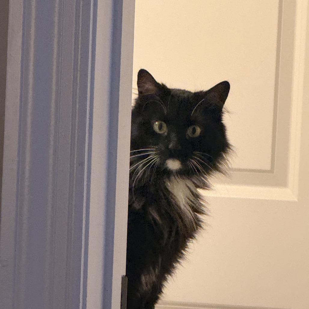 Anastasia — thumbnail 2