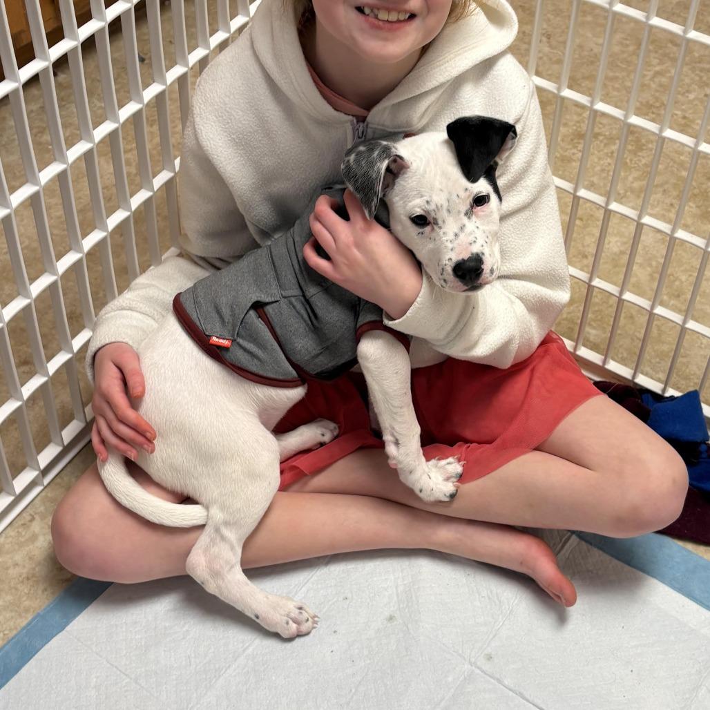 Jack Frost D thumbnail 6