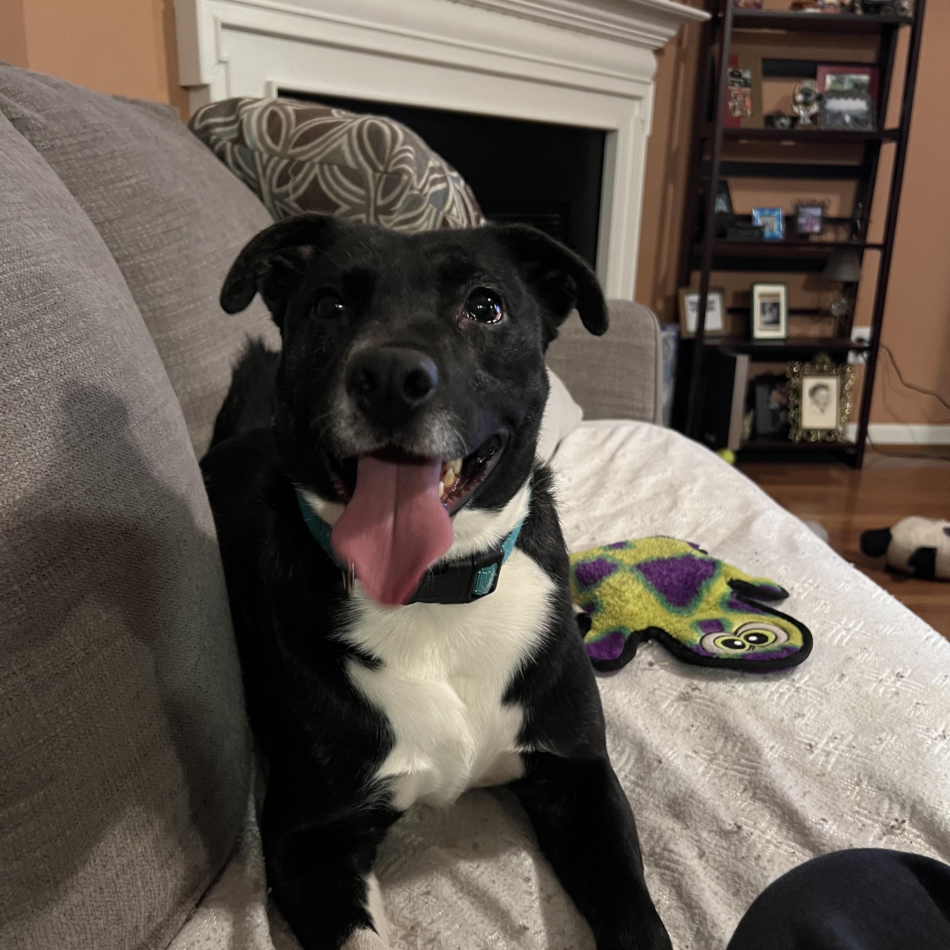 Daisy — thumbnail 5