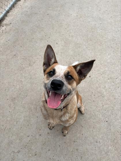 Squirt — thumbnail 3