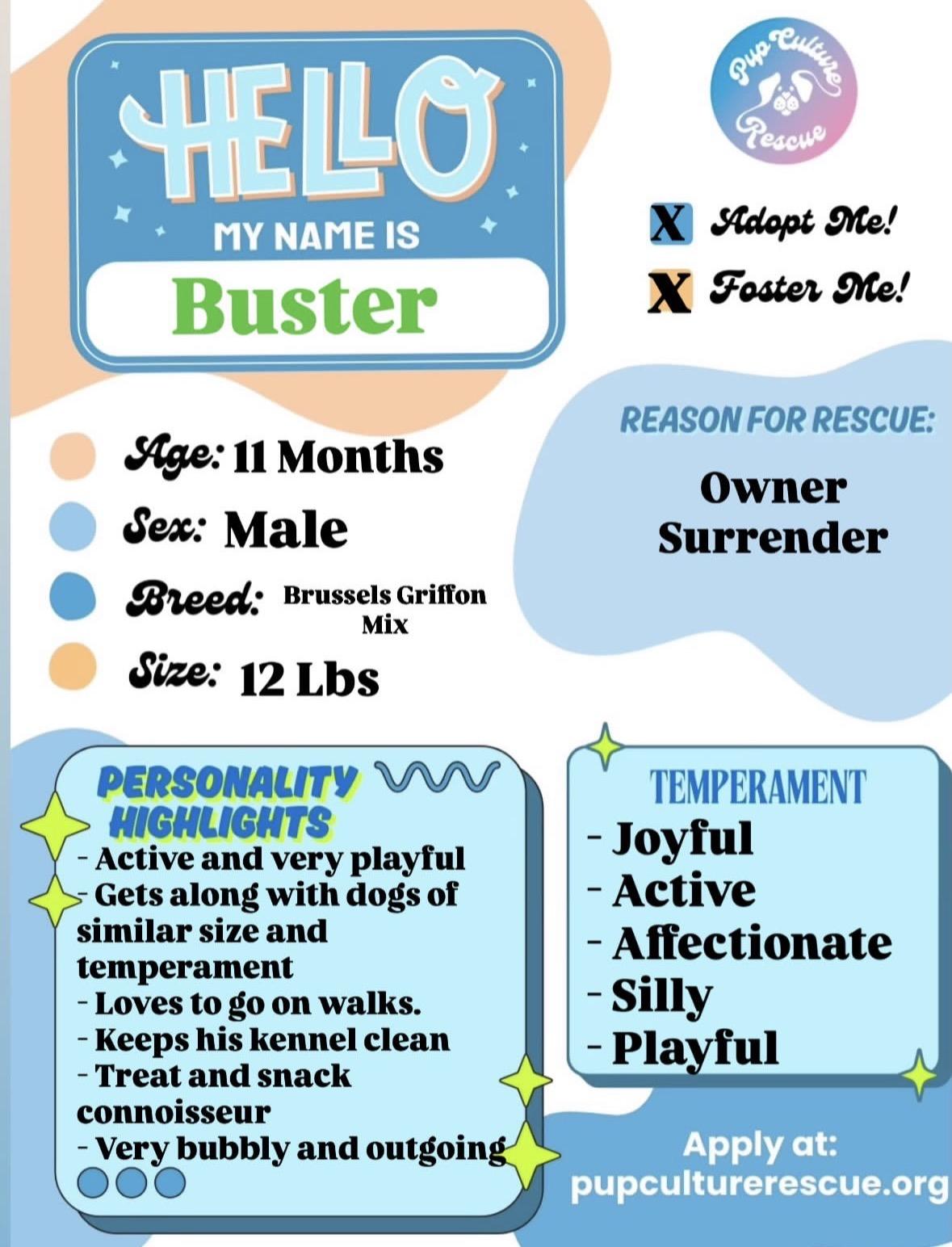Buster, a Adoptable mixed breed in Pasadena, CA image 2/6