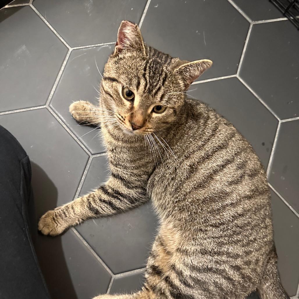 Demetri — thumbnail 2