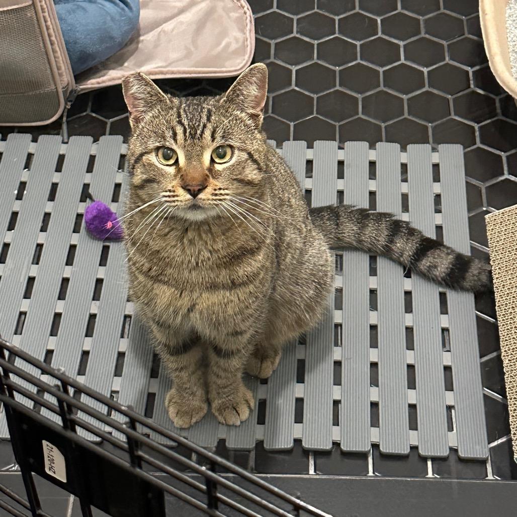 Demetri — thumbnail 3