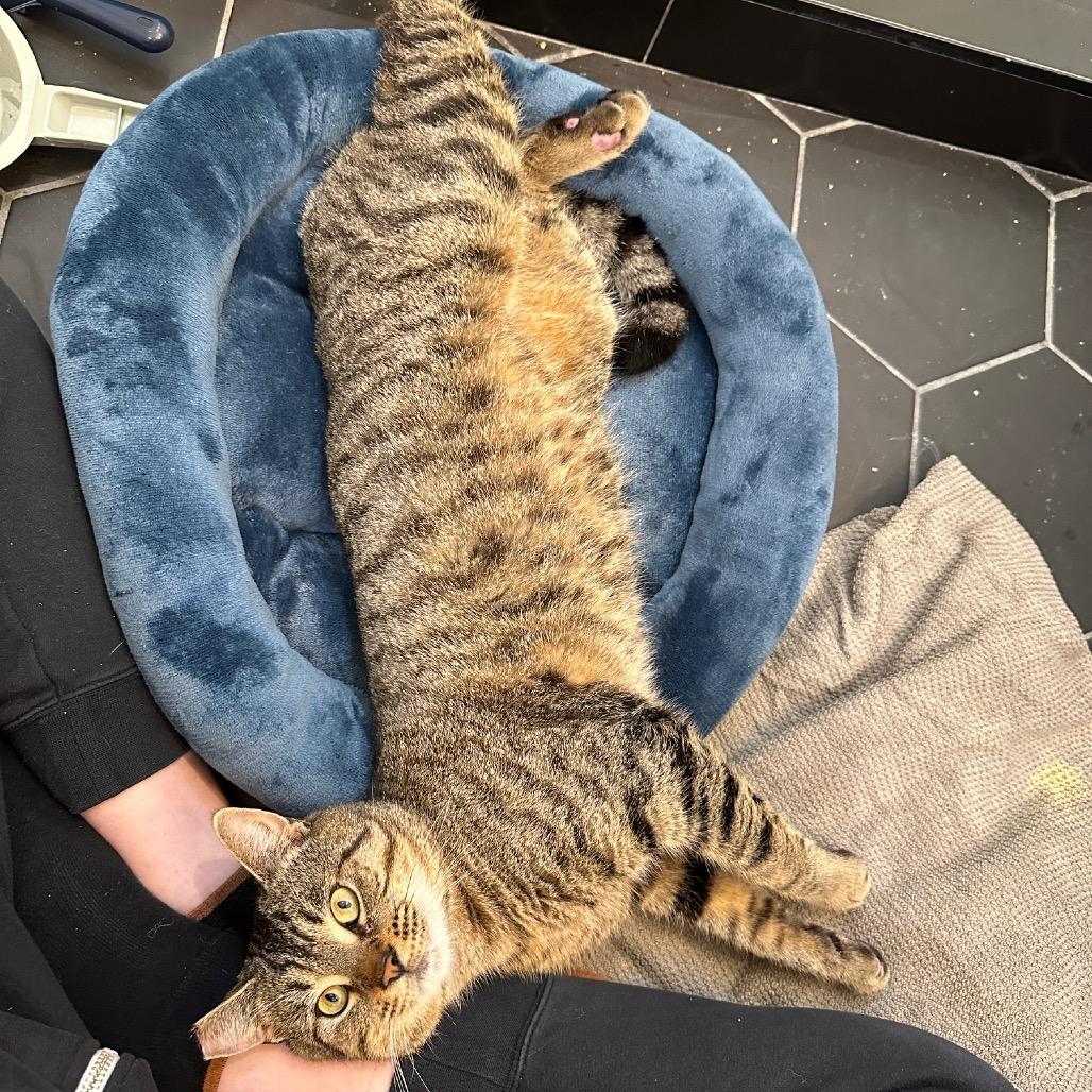 Demetri — thumbnail 4