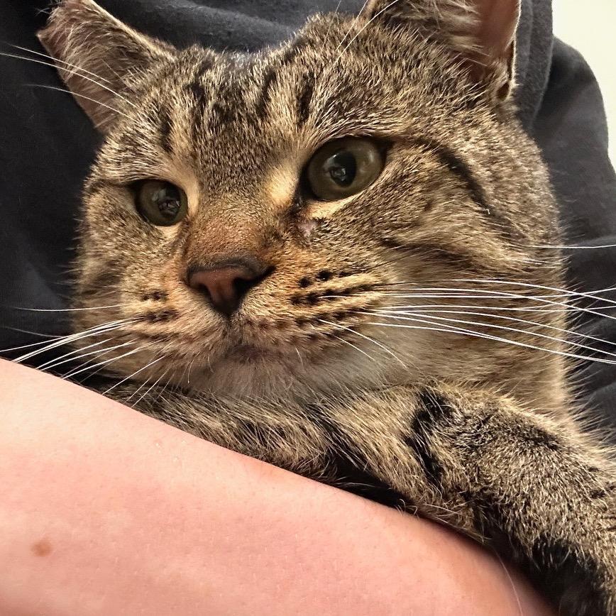 Demetri — thumbnail 5