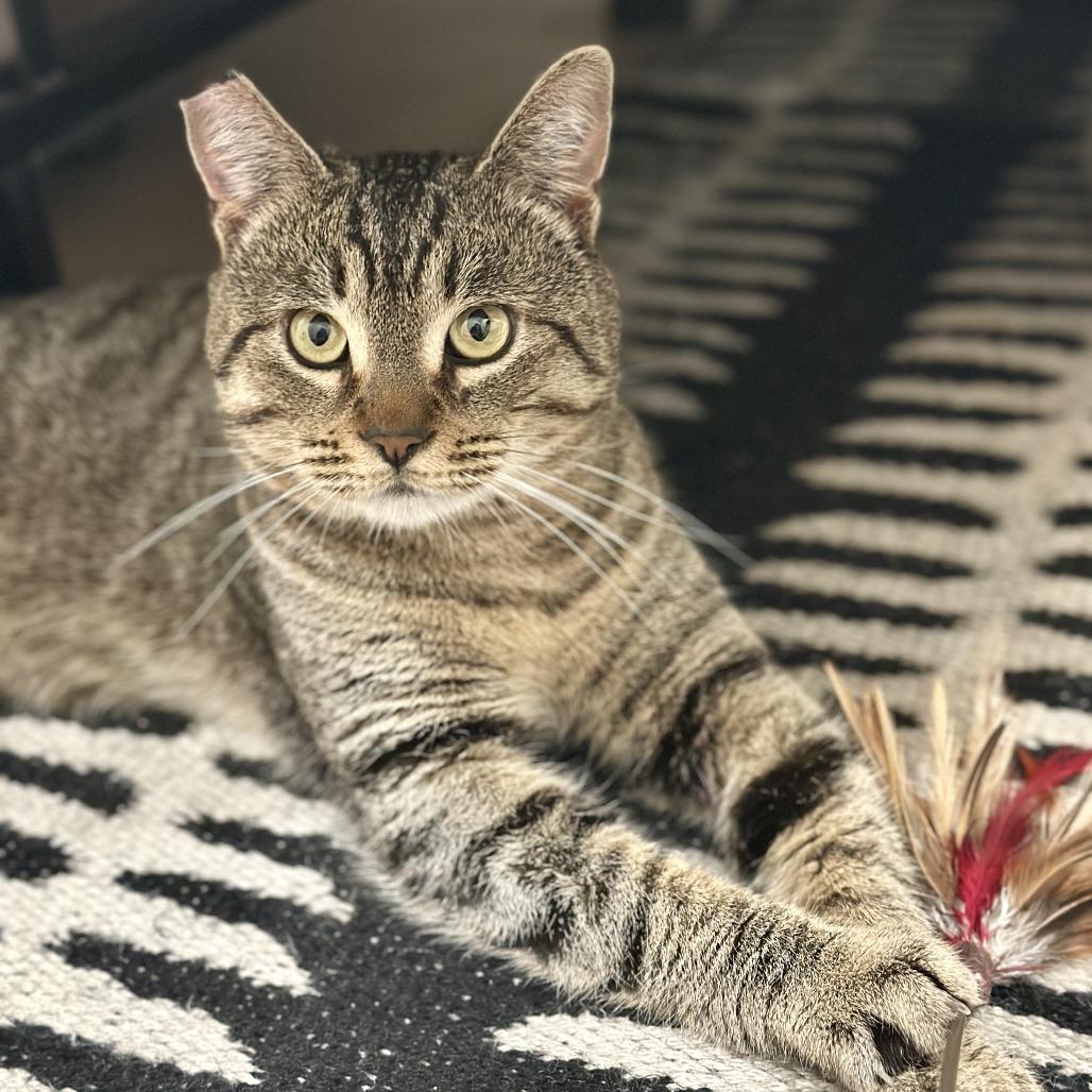 Demetri — thumbnail 6