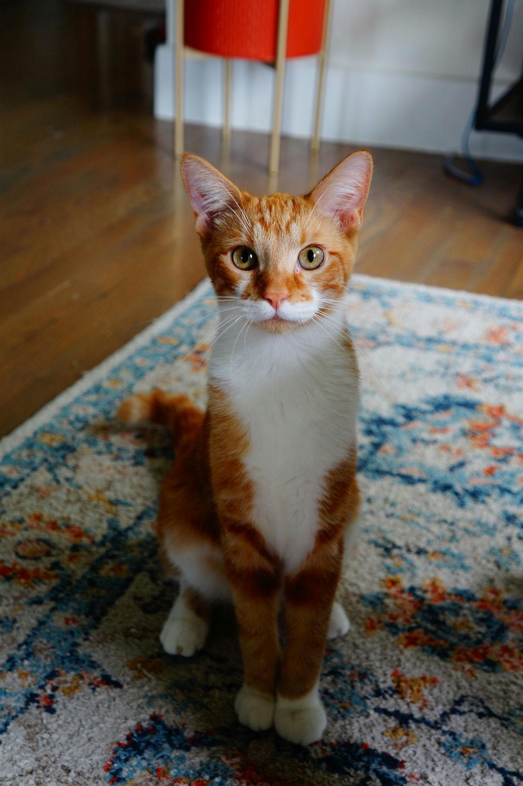 Coco