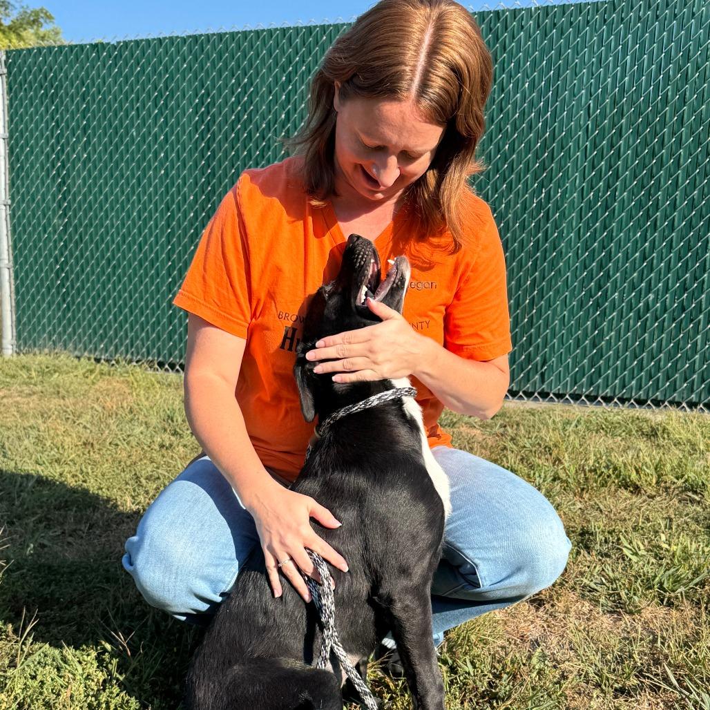 Enlarge Willow, a Adoptable mixed breed in Nashville, IN image 4/6