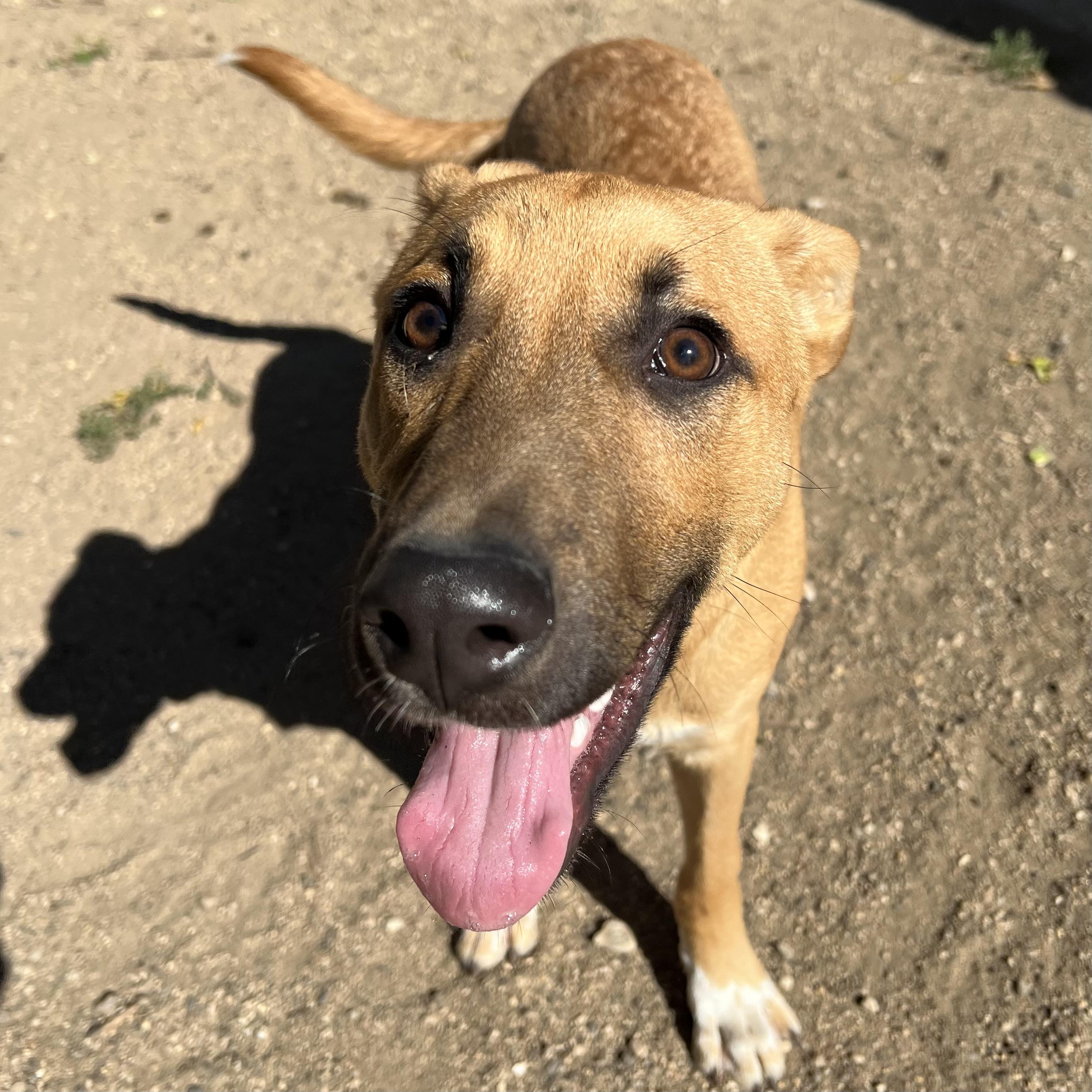 Trigger **NO FEE** (Sponsored by Hawkins Chevrolet)