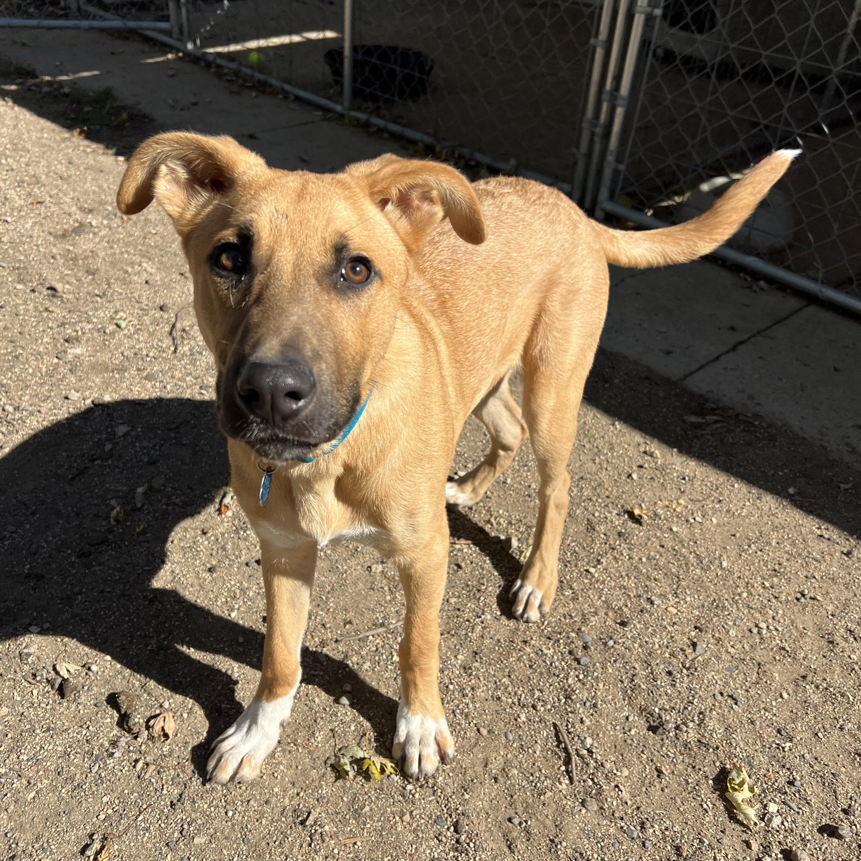 Trigger **NO FEE** (Sponsored by Hawkins Chevrolet)