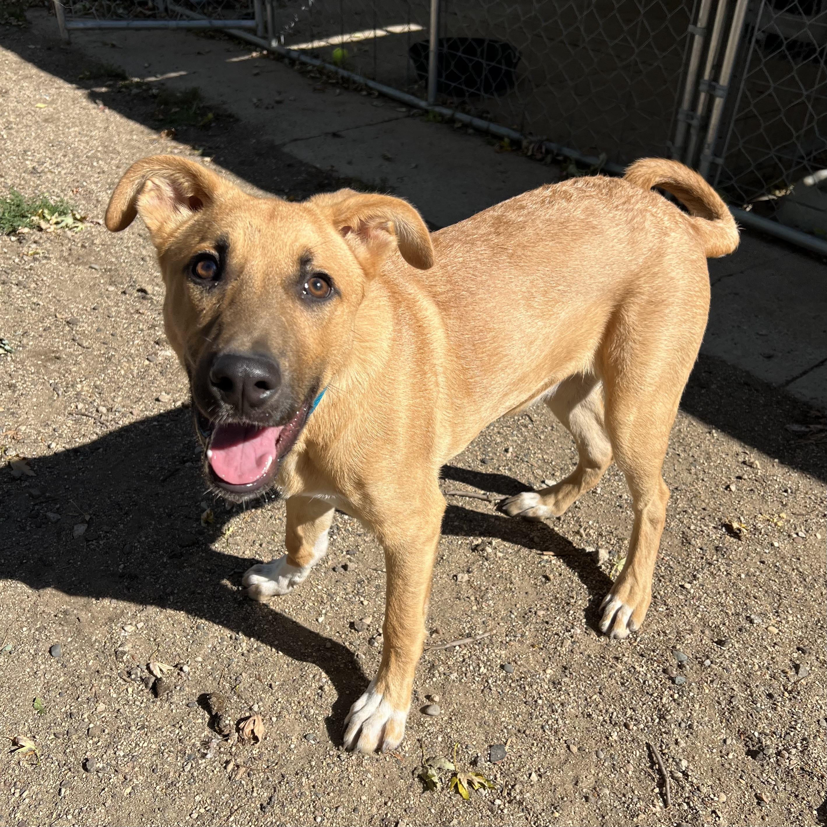 Trigger **NO FEE** (Sponsored by Hawkins Chevrolet)