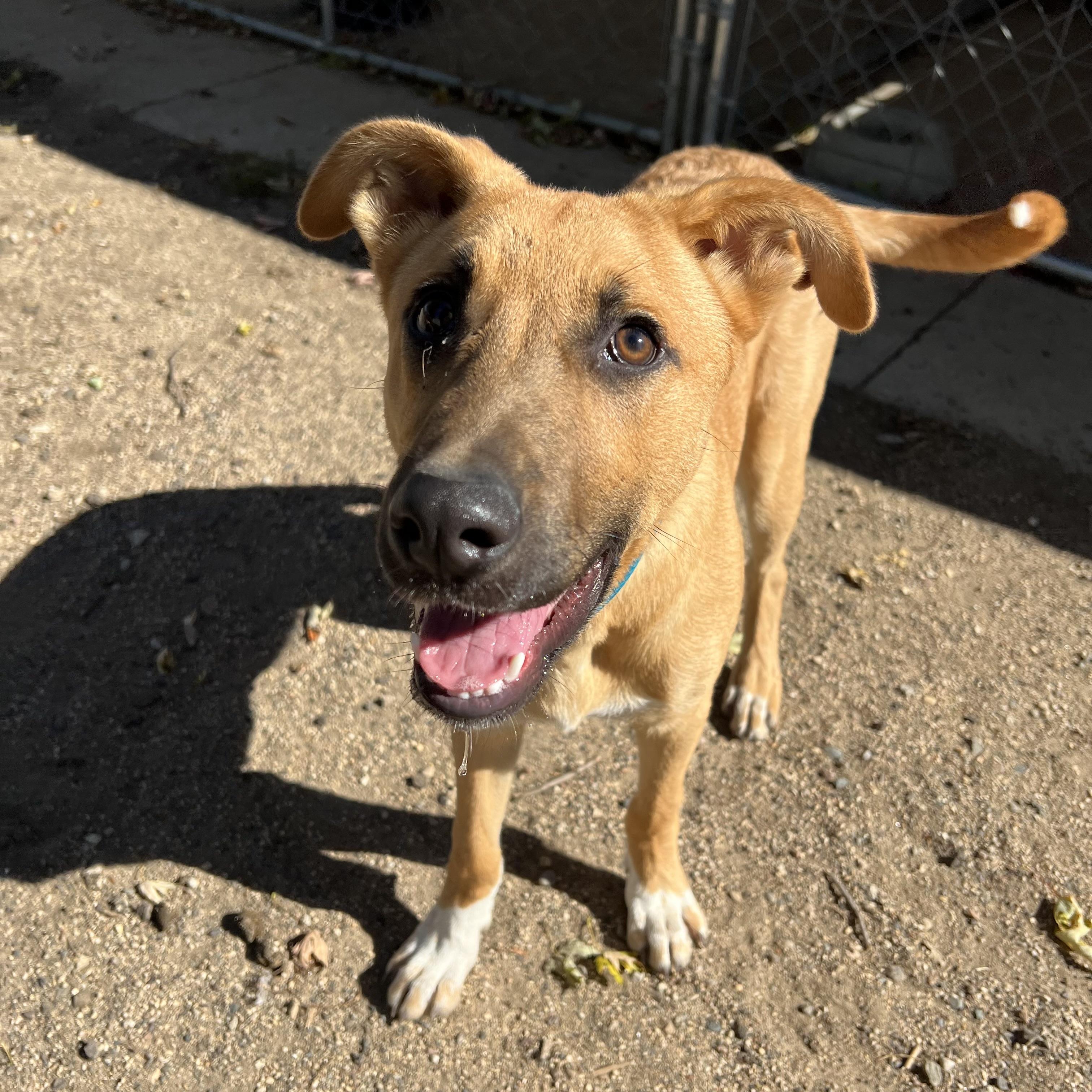 Trigger **NO FEE** (Sponsored by Hawkins Chevrolet)