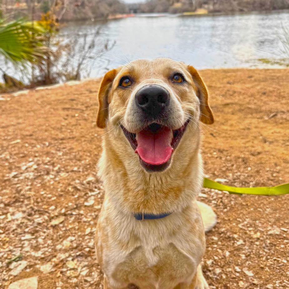 Amelia Earhart — thumbnail 3