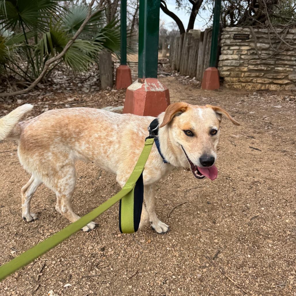 Amelia Earhart — thumbnail 4