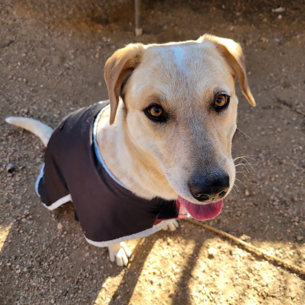 Amelia Earhart — thumbnail 5