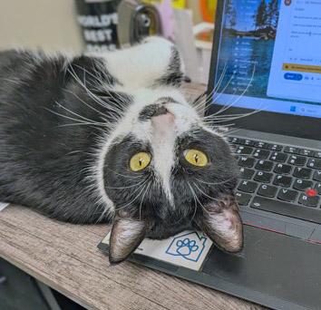 Cleo — thumbnail 2