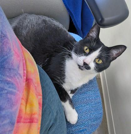 Cleo — thumbnail 3