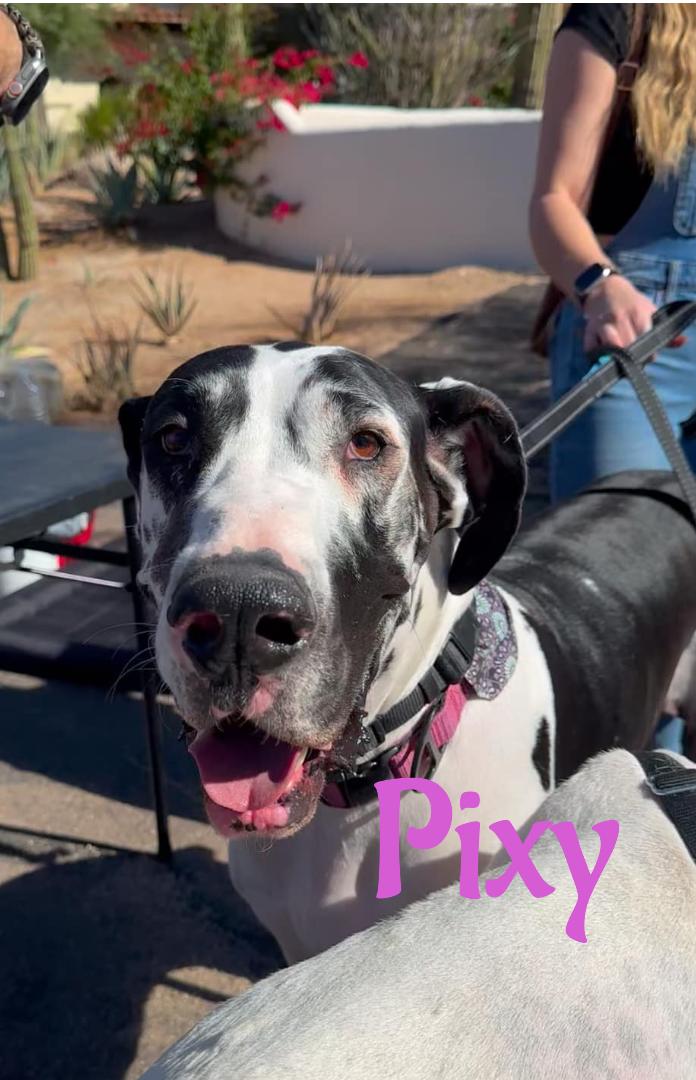 Pixy