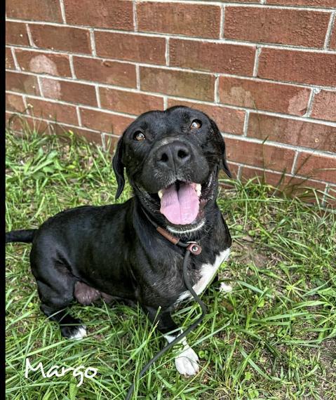 Margo - photo 1