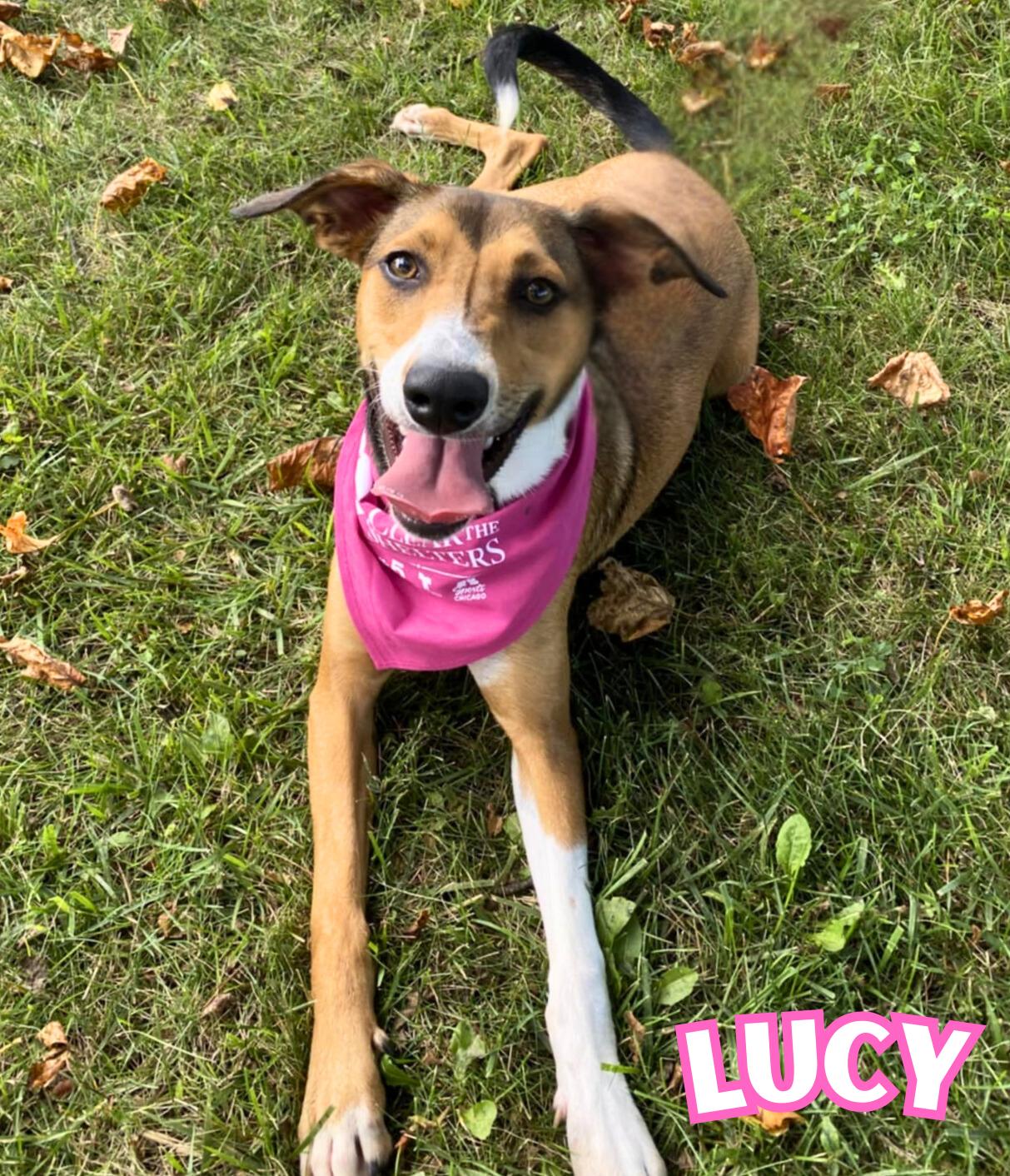 Lucy