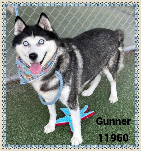 GUNNER 3