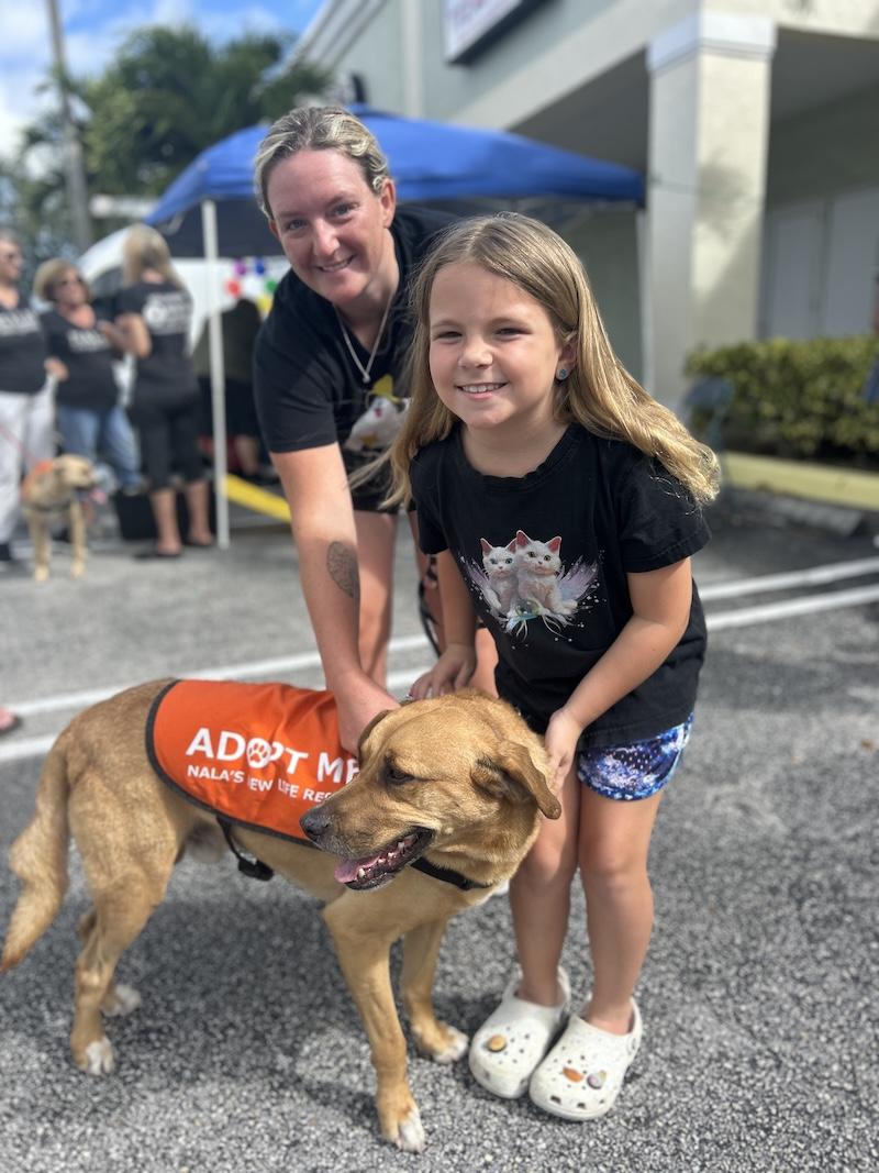 Enlarge Carson, a Adoptable mixed breed in Palm City, FL image 5/5