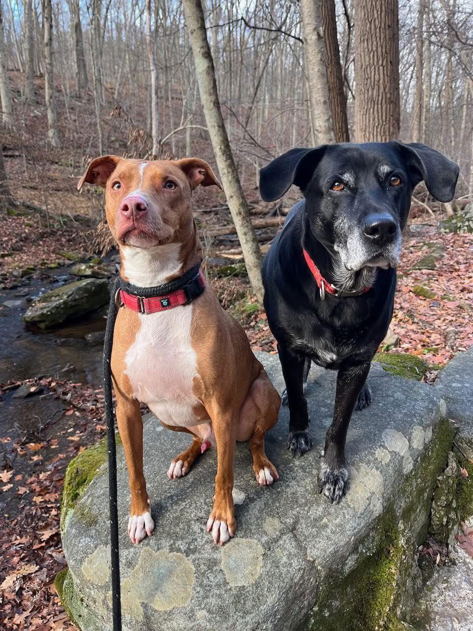 Kylo Lonestar thumbnail 3