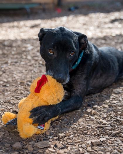 Haiku — thumbnail 2