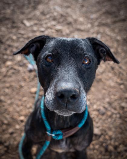 Haiku — thumbnail 3