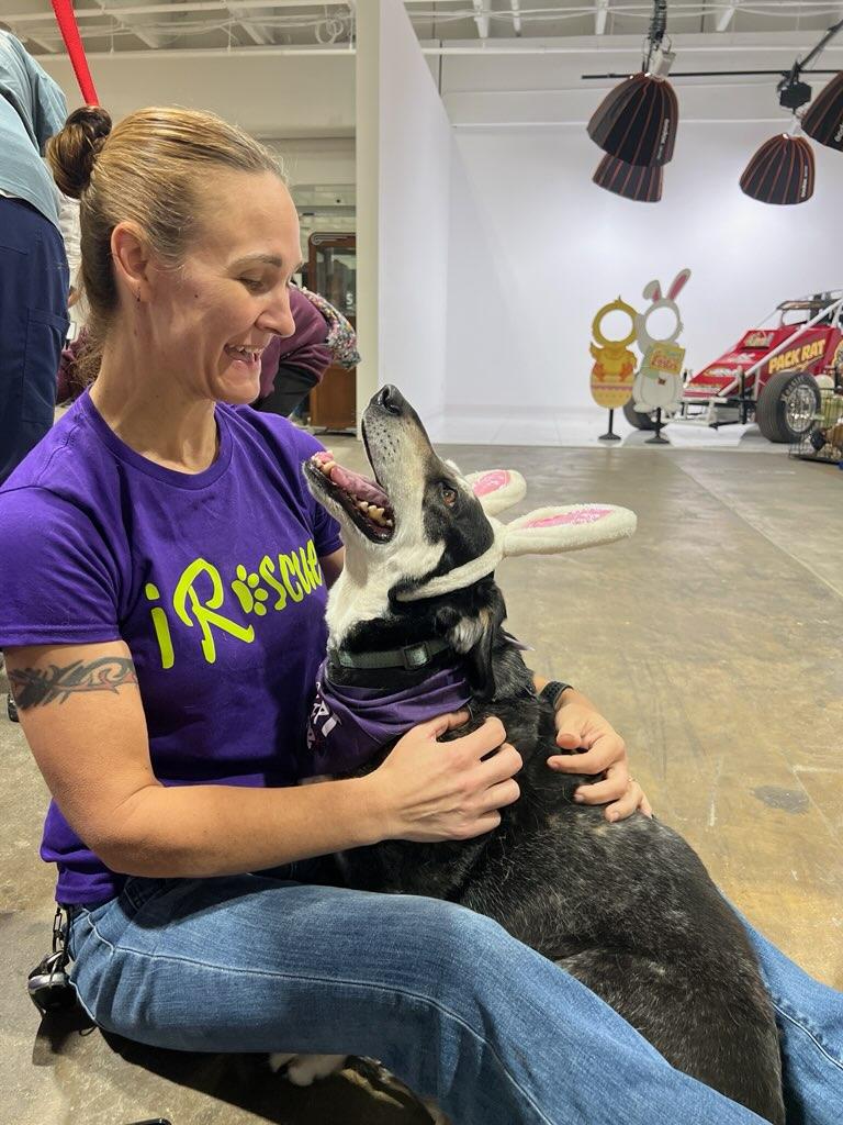 Enlarge Maggie, an adoptable mixed breed in Weatherford, TX image 2/6