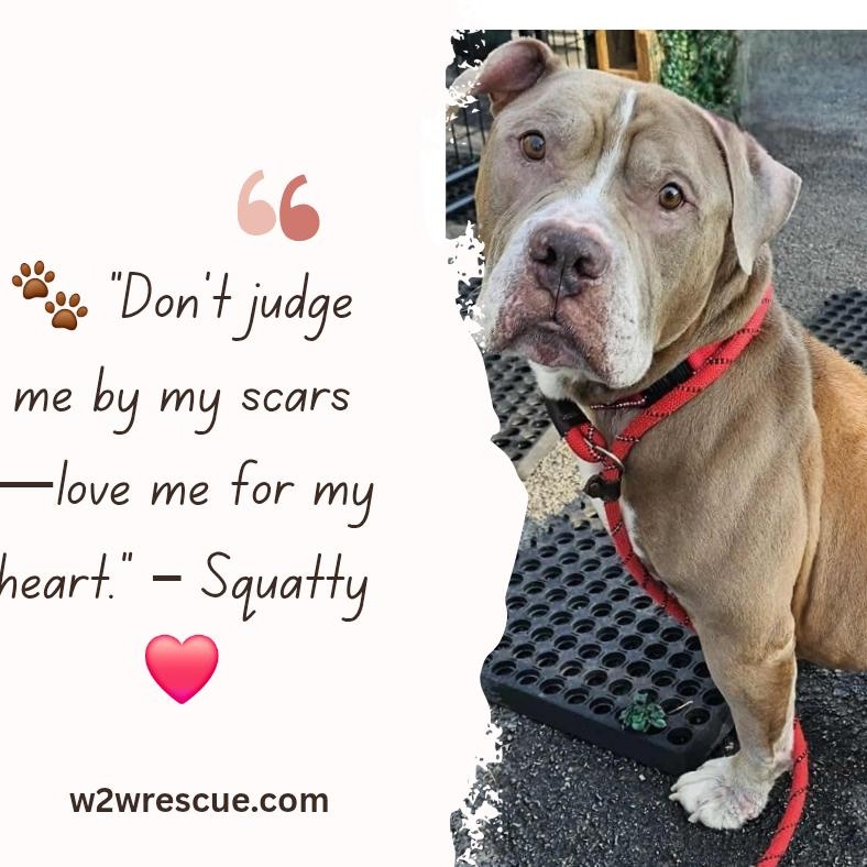 Squatty~ $0 sponsored adoption fee!