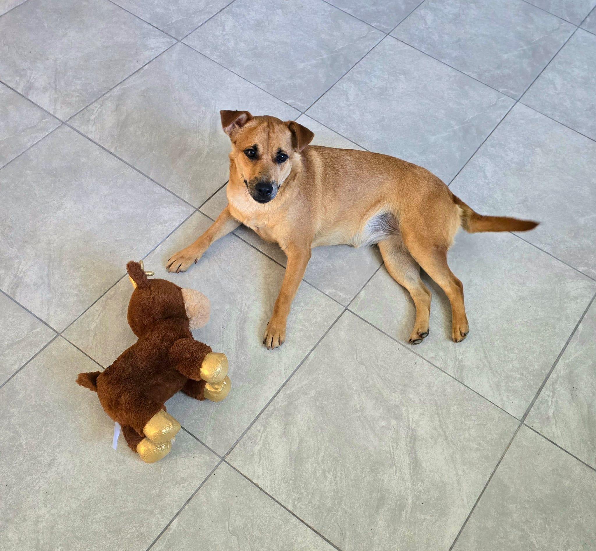 Cosita