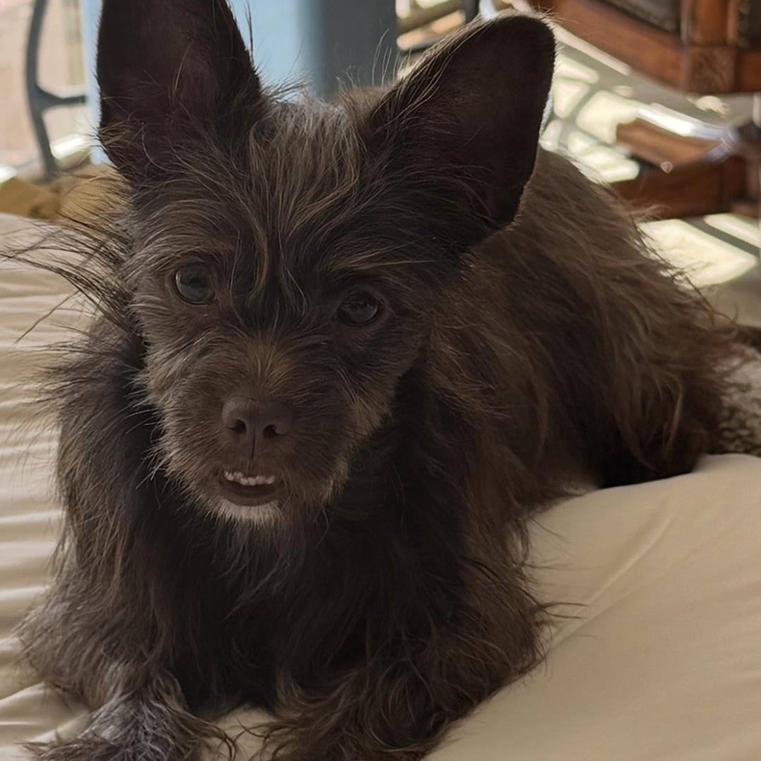 Hershey — thumbnail 6