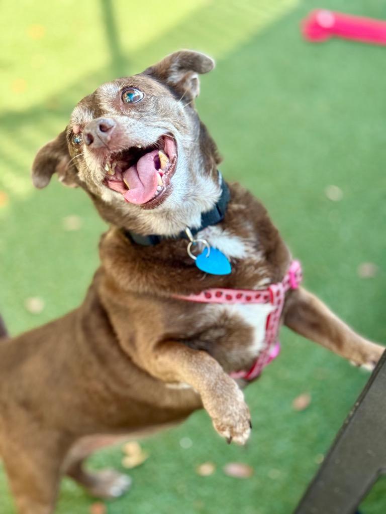 Hershey — thumbnail 2