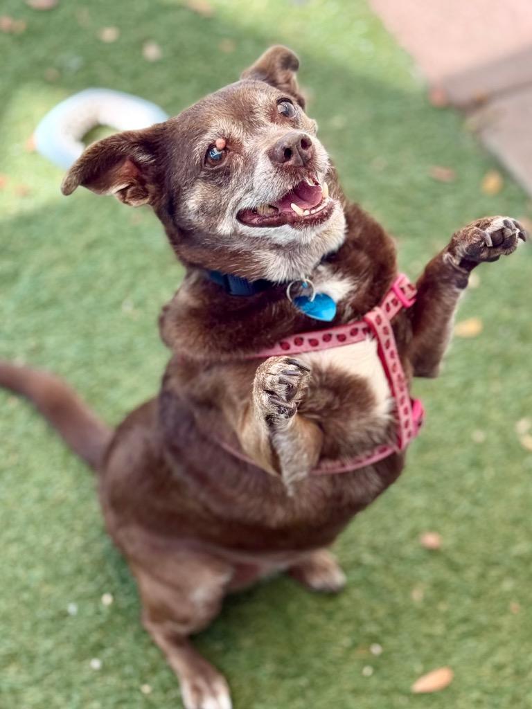 Hershey — thumbnail 3