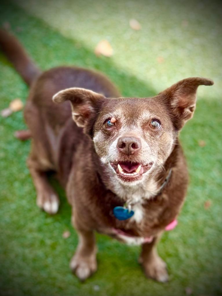 Hershey — thumbnail 4