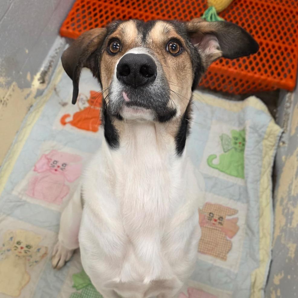 Little Man thumbnail 2