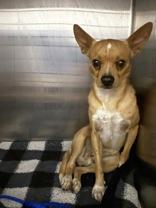 Paris Hilton (157423)