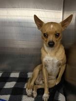 Paris Hilton (157423)