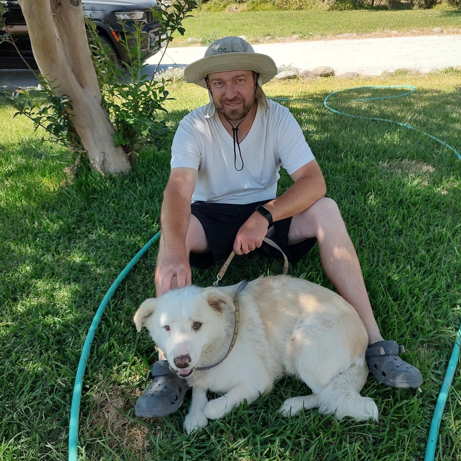 Enlarge Margie, a Adoptable mixed breed in Hollister, CA image 1/4